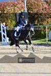 ref. photo 4079126