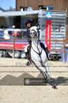 ref. photo 4079167