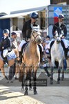 ref. photo 4079176