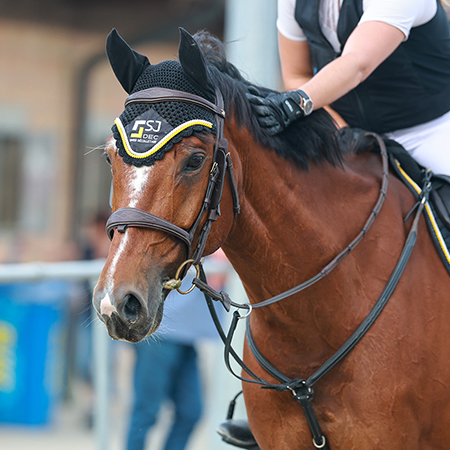 CS Delmont 13.06.2025