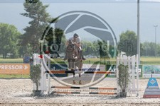 ref. photo 3666802