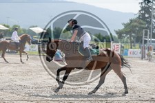ref. photo 3666839