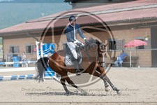 ref. photo 3666939