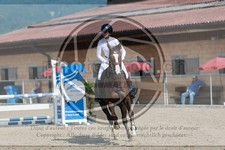 ref. photo 3667084