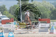 ref. photo 3667113
