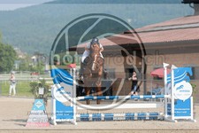 ref. photo 3667183