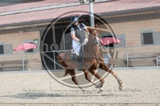 ref. photo 3667185