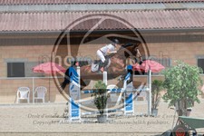 ref. photo 3667380