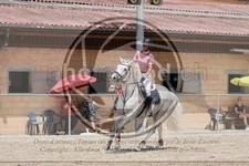 ref. photo 3668009