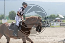 ref. photo 3668106