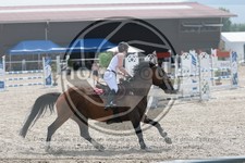 ref. photo 3668166