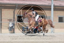 ref. photo 3668267