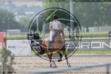 ref. photo 3668500
