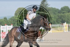 ref. photo 3668511