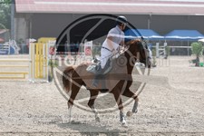 ref. photo 3668643