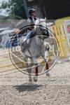 ref. photo 3668669