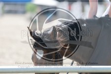 ref. photo 3668746