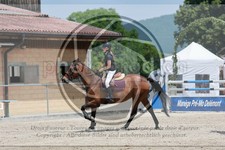 ref. photo 3668896