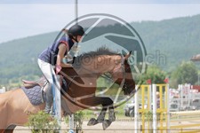 ref. photo 3668906