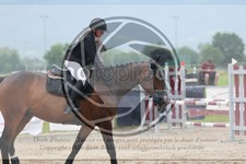 ref. photo 3669028