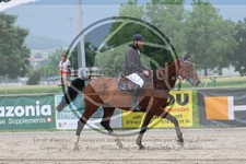ref. photo 3669244