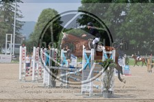 ref. photo 3669586