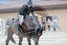 ref. photo 3669603