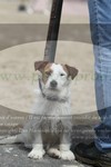 ref. photo 3194323