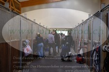 ref. photo 3194379