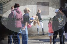 ref. photo 3194391