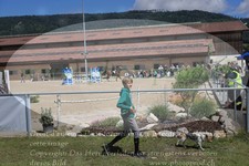 ref. photo 3194403