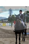 ref. photo 3196085