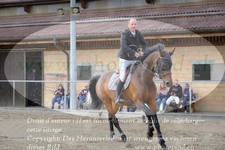 ref. photo 3196093