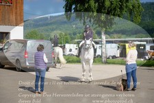 ref. photo 3196106