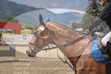 ref. photo 3196203