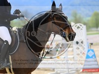 ref. photo 4020203