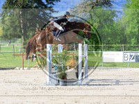 ref. photo 4020273