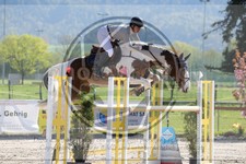 ref. photo 4020303