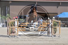 ref. photo 4020362