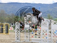 ref. photo 4020372