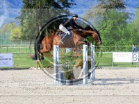 ref. photo 4020402