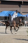 ref. photo 4020417