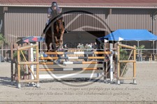 ref. photo 4020518