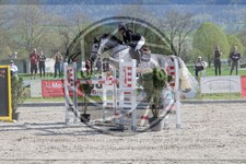 ref. photo 4020795
