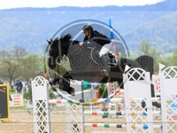 ref. photo 4020831