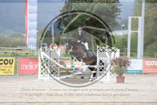 ref. photo 3571311