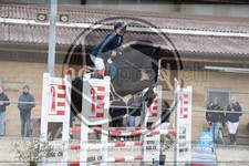 ref. photo 3571353