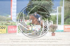 ref. photo 3571387