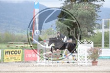 ref. photo 3571420