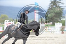 ref. photo 3571501